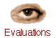  Evaluations 
