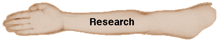  Research 