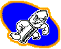 little bullet