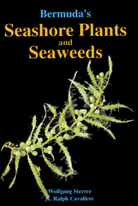 Bermuda's Seashore Plants and Seaweeds